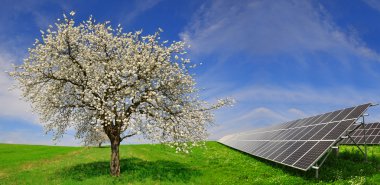 Güneş enerjisi panelleri çiçekli ağaç