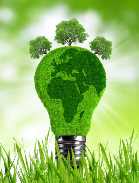 Lampadina ecologica in erba — Foto Stock