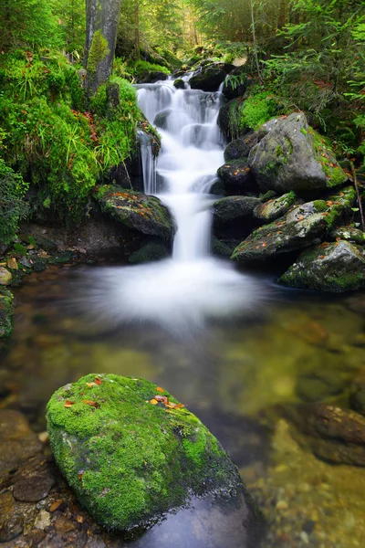 Wasserfall — Stockfoto