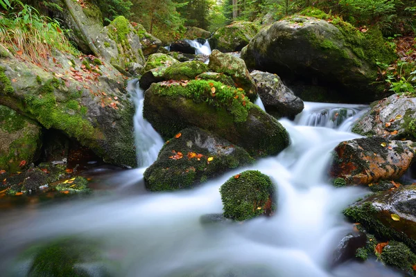 Gebirgsbach — Stockfoto