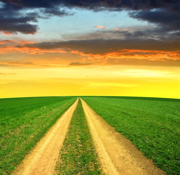 Sentiero del prato — Foto Stock