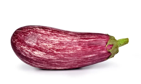 Fresh vegetable eggplant — Stock Photo, Image