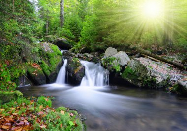 milli park sumava dereye