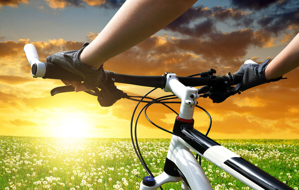 Руки в перчатках, держащие руль велосипеда
