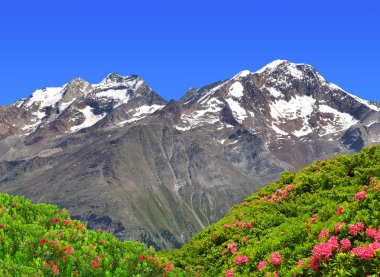 Weissmies, Lagginhorn ve Fletschhorn