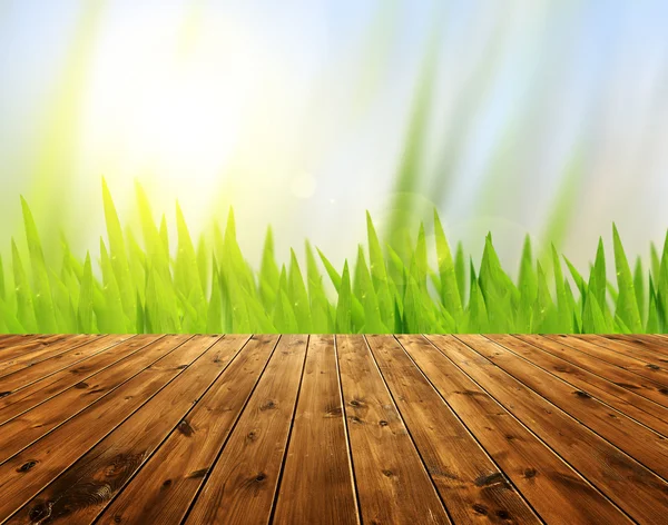 Natural green grass and bokeh background — Stock Photo, Image