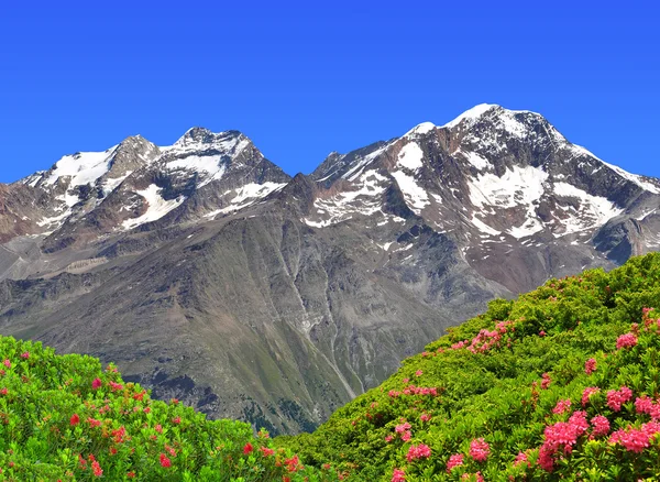 Lagginhorn, Weissmies en Fletschhorn — Stockfoto