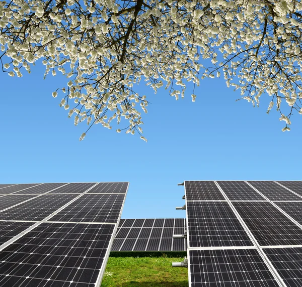 Zonne-energie panelen — Stockfoto