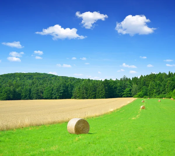 Straw bale in a lush green field — Stock Photo, Image