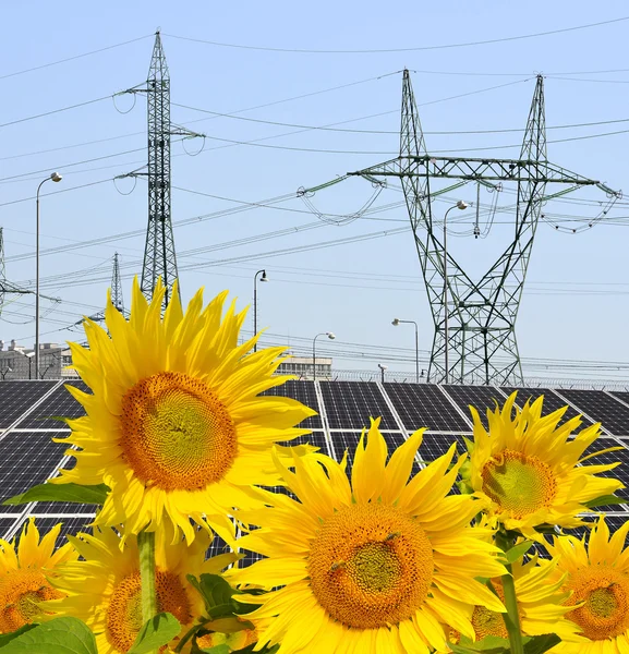 Sunflowers in the background solar panels and pylons — Stockfoto
