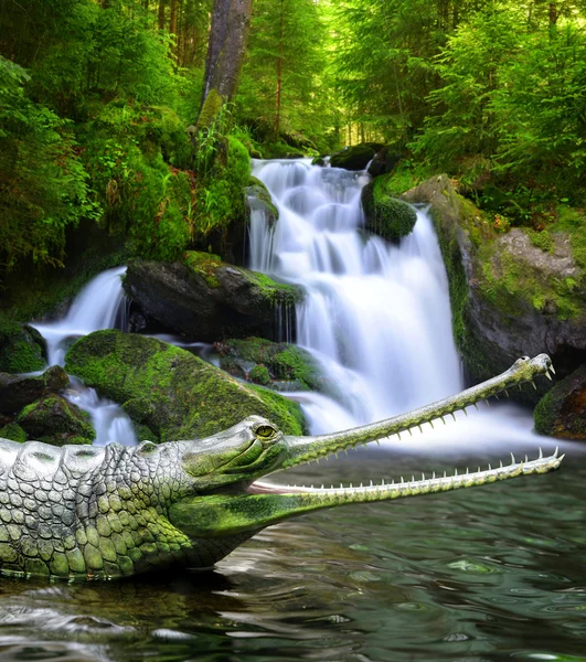 Gharial — Stock fotografie