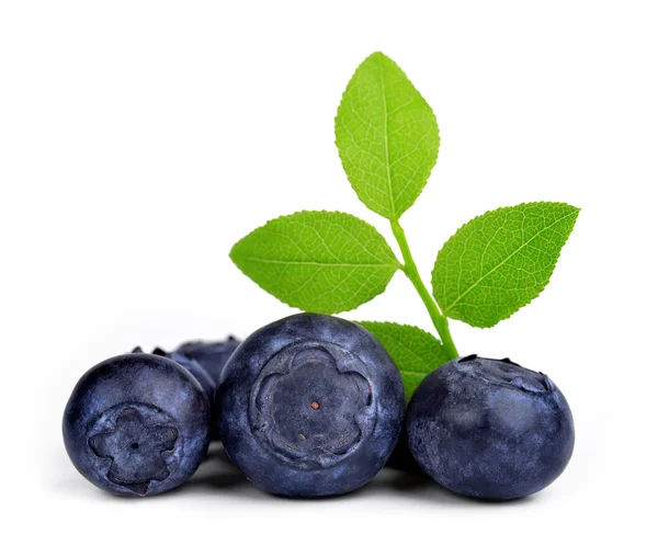 Blueberries with green leaf — Stock Photo, Image