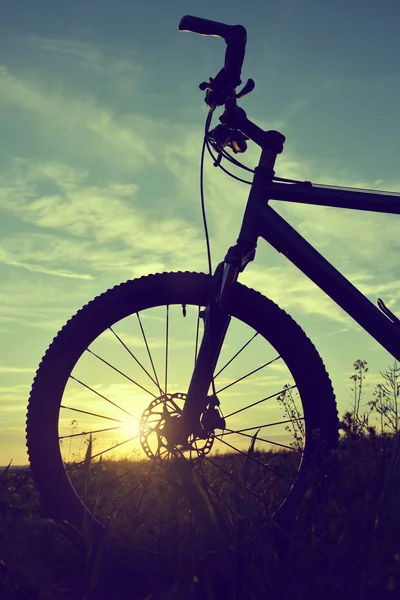 Bicicleta de montanha — Fotografia de Stock