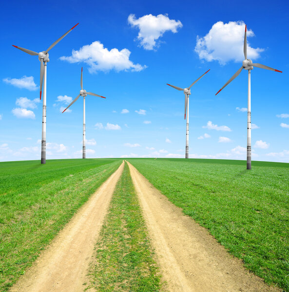 Meadow trail with wind turbines