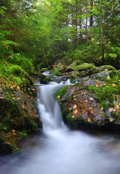 Bergkreek — Stockfoto