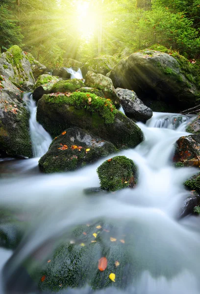 Fiume di montagna — Foto Stock