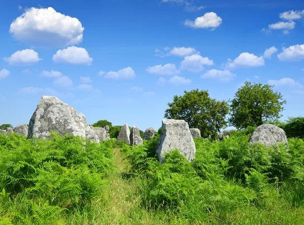 Monumentos megalíticos menhires en Carnac — Foto de Stock