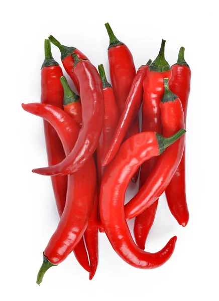 Röd chilipeppar — Stockfoto