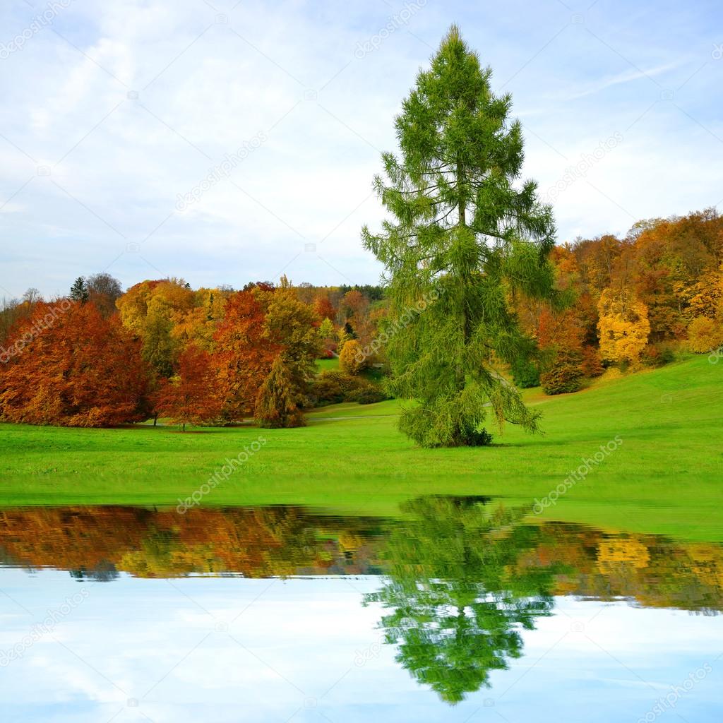 Autumn landscape