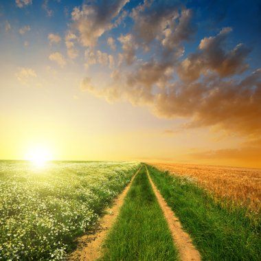 gün batımında toprak yol.