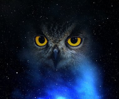 Gözleri kartal baykuş