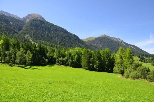 Paisaje de verano en Suiza Alpes — Foto de Stock