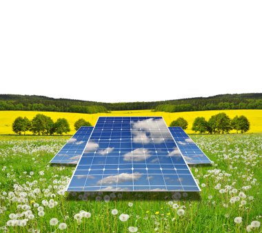 Güneş enerjisi panelleri üzerinde çayır.
