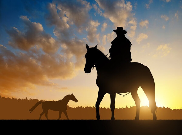 Silhouette cowboy with horse