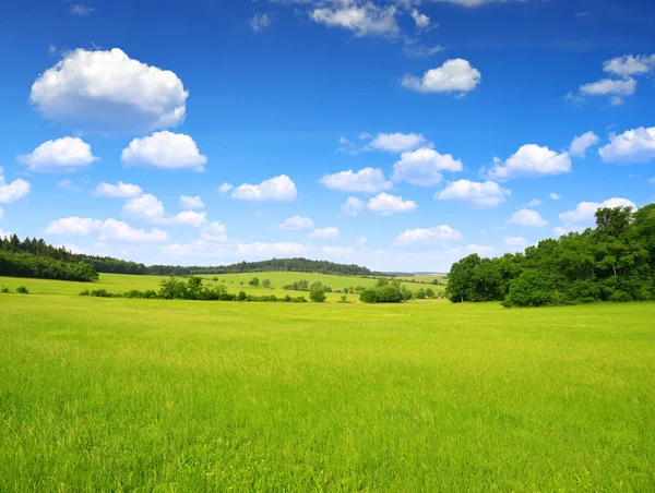 Paesaggio estivo — Foto Stock