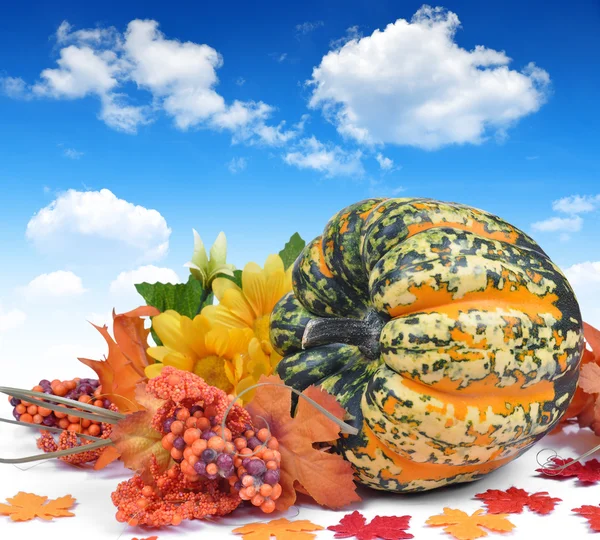 Harvested pumpkins — Stock Photo, Image