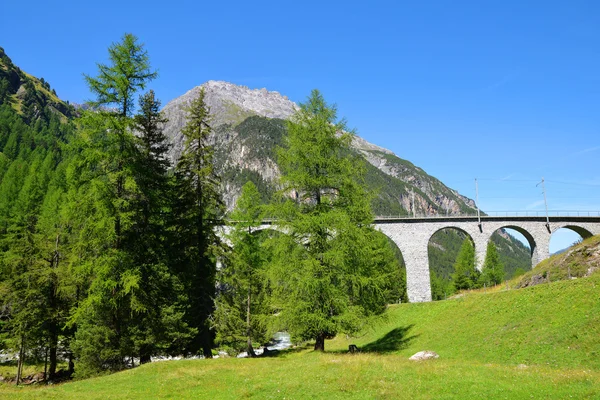 Stone bridge of the Albula Railway. — Stock Image Stone bridge of the Albula Railway. Stock Photo