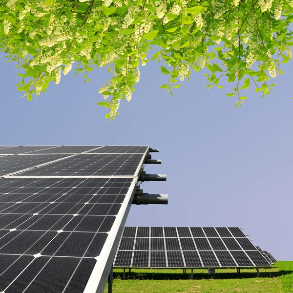 Zonne-energie panelen — Stockfoto