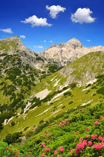 Julianischen Alpen, Slowenien — Stockfoto