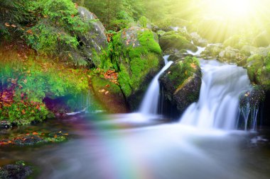 Şelale Creek gökkuşağı ile.