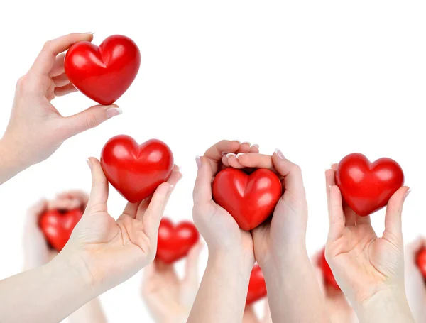 Heart in hands — Stock Photo, Image