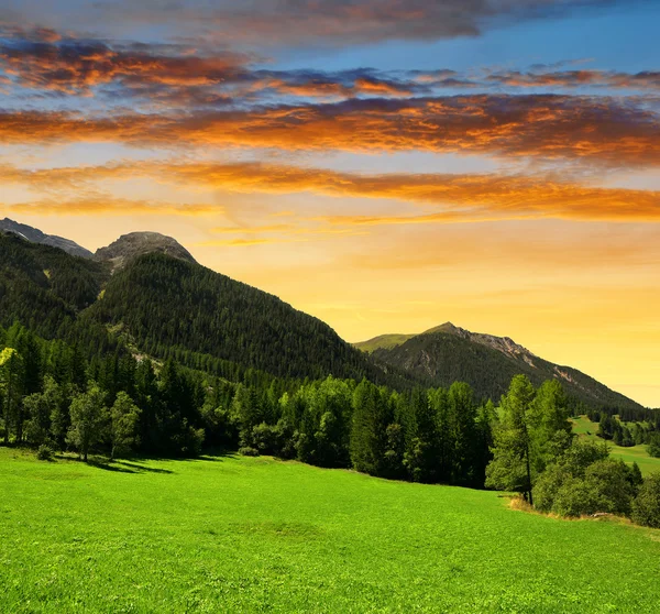 Krajobraz lato w Alpy Szwajcaria na zachodzie słońca — Zdjęcie stockowe
