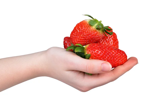 Erdbeeren in der Hand — Stockfoto