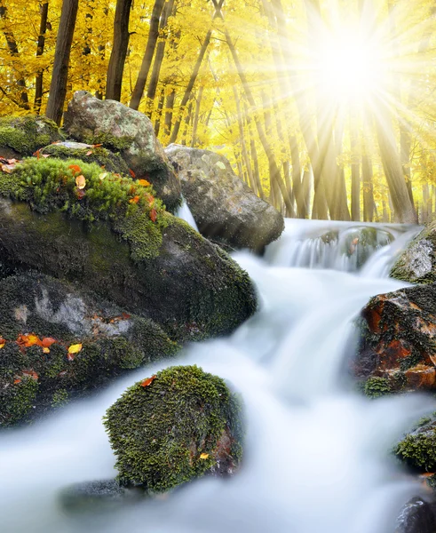 Herfst bos met berg creek — Stockfoto