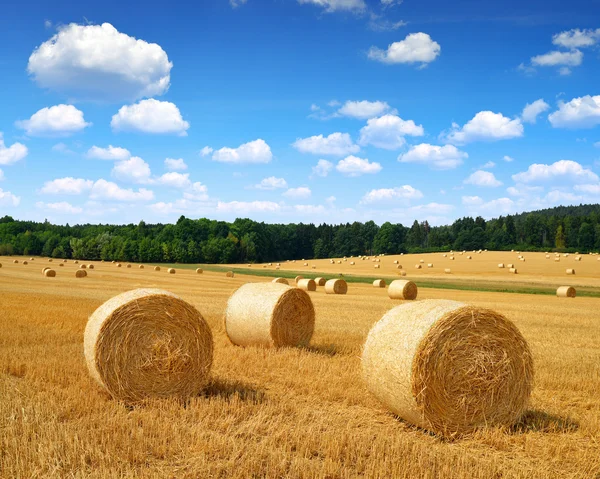 Strohballen auf Feld — Stockfoto