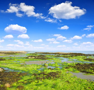 Deniz gelgit sırasında