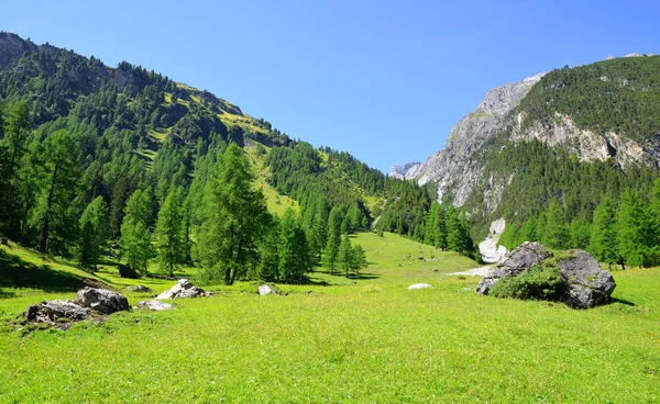 在瑞士阿尔卑斯山的夏天风景 — 图库照片