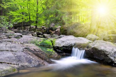 Ulusal parkta Sumava dağ dere