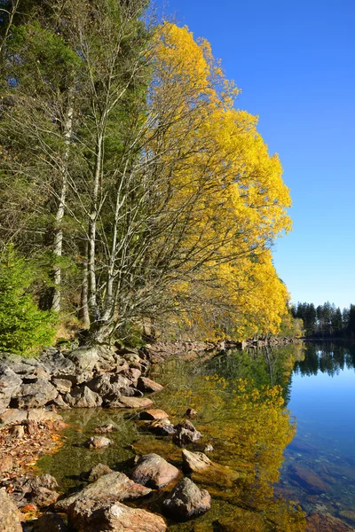 Black Lake, den største naturlige innsjøen i nasjonalparken Sumava – stockfoto