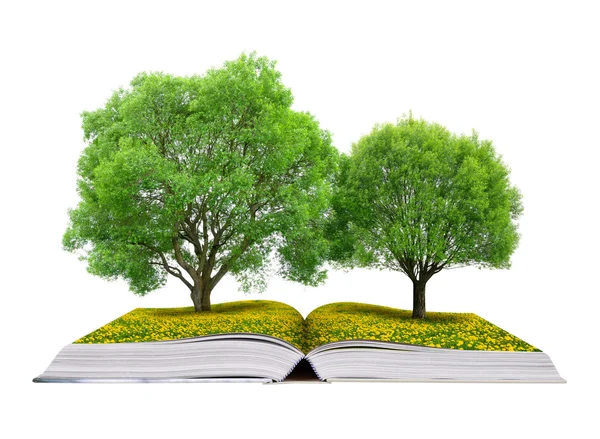 Libro de la naturaleza con árboles — Foto de Stock