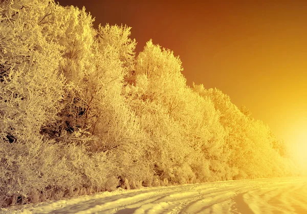 Paisaje invernal al atardecer —  Fotos de Stock