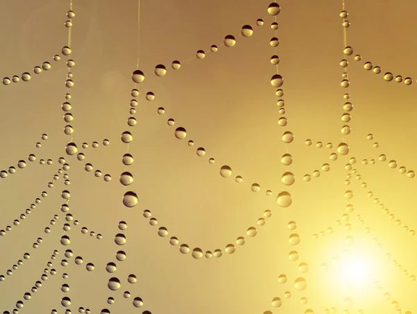 Primer plano de la tela de araña con gotas de rocío — Foto de Stock