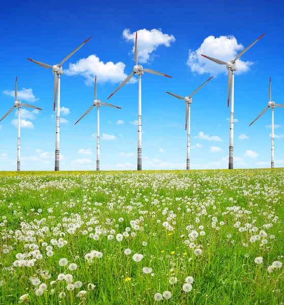 Wind turbines on meadow — Stock Photo, Image