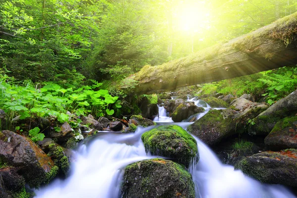 Gebirgsbach im Nationalpark Böhmerwald — Stockfoto