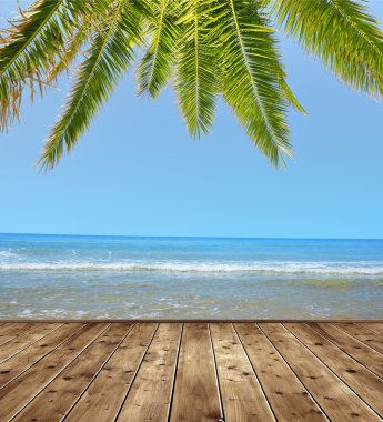 Palmiye ağacı ile mavi deniz