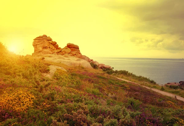 Ploumanach, pembe granit sahil Brittany — Stok fotoğraf